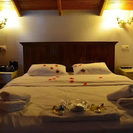 Hotel Teras Kagithane