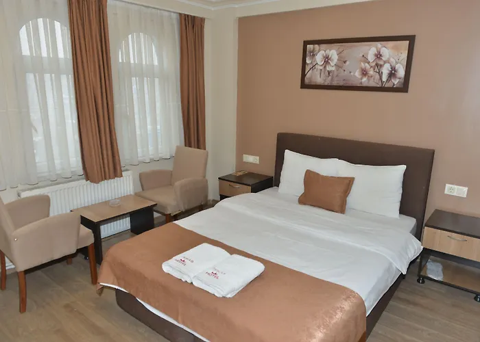 Hotel Teras Kagithane *